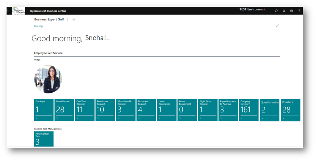 dynamics 365 hr software uae business central