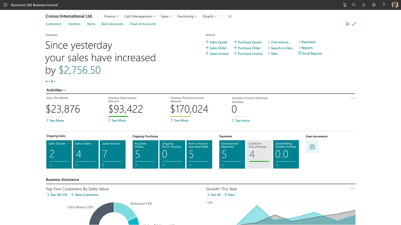 About Microsoft Navision